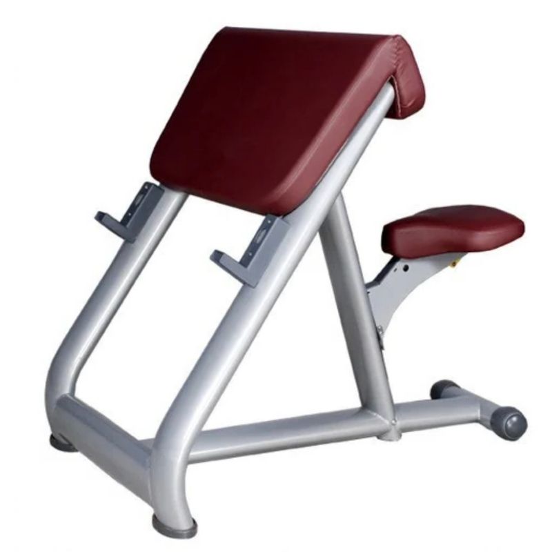 BANCO BICEP CURL